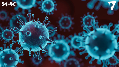Датасет «Эпидемии и пандемии 2023: Большие данные для научной аналитики динамики инфекционных заболеваний в мире и их последствий»